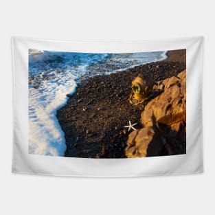 Diving Helmet And Seafoam Tapestry