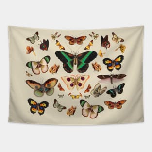 Moths Cottagecore Countrycore Goblincore Butterflies Tapestry