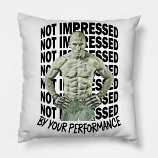 Not Impressed By Your Performance Pillow