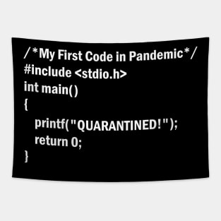 My First Code in Pandemic Using C Language Tapestry