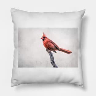 Male Northern Cardinal on a Snag Pillow