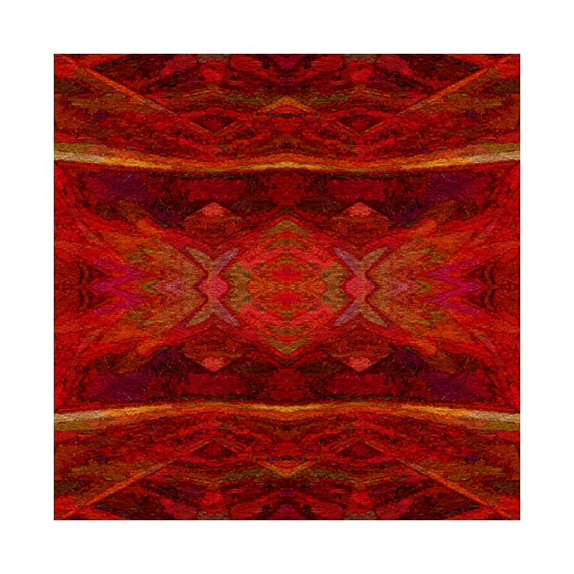 Patterned Blanket by DANAROPER