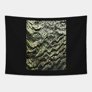 Tree-bark Tapestry