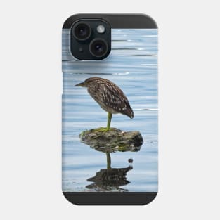 Juvenile Black-crowned Night-Heron Phone Case