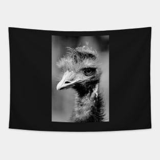 Emu Tapestry