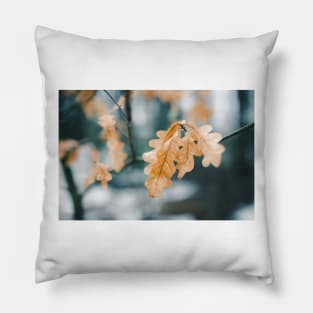 Dry yellow leaves in small oak tree Pillow