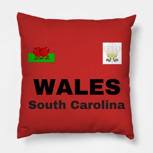 South Carolina Wales Ancestry Pillow