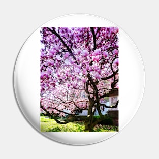 Spring - Magnificant Magnolia Pin