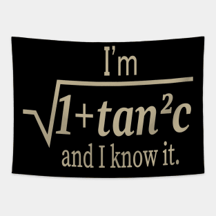 I'm Sqrt[1 + tan2 (c)] And I Know It Funny Math Tapestry