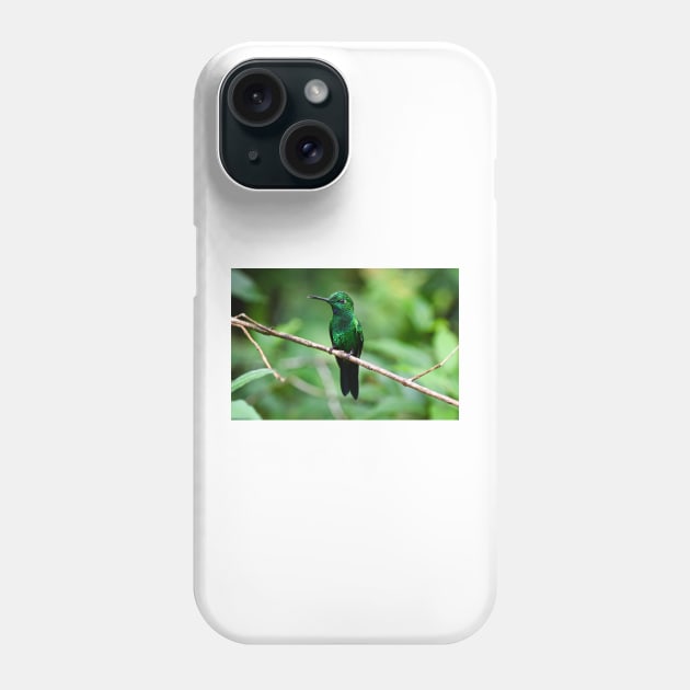 Hummingbird Phone Case by cbernstein