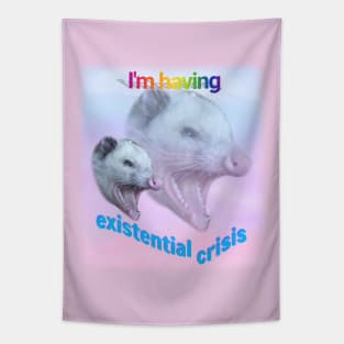 I'm having existential crisis, possum Tapestry