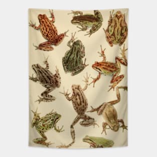 Vintage Frogs Tapestry