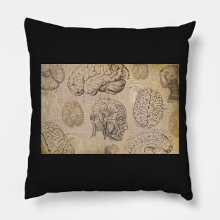 Vintage brain medical anatomy line drawing design. Pillow