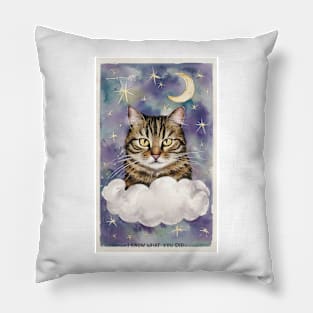 Cat from Heaven "i know what you did" Pillow