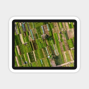 Vegetable village aerial view in Hoi An, Vietnam Magnet