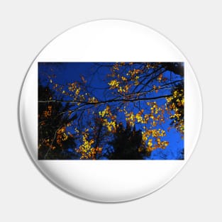 autumn colors Pin