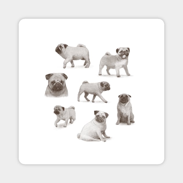 Pug Collection Magnet by Terry Fan