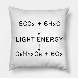 Photosynthesis Pillow