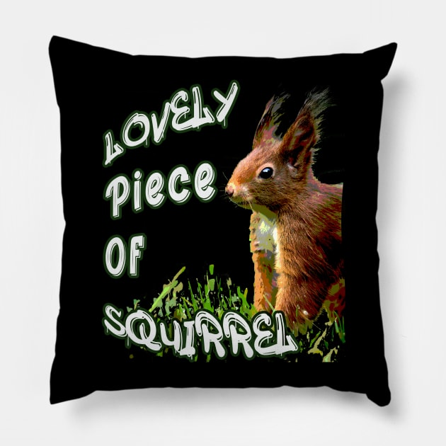 Lovely piece of squirrel - Friday Night Dinner Pillow by By Diane Maclaine