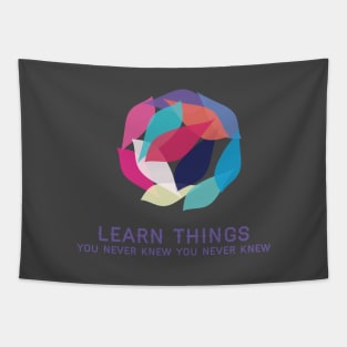 Learn Things Tapestry