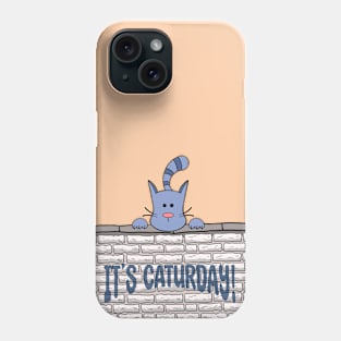 Kitty Cat It's Caturday Phone Case