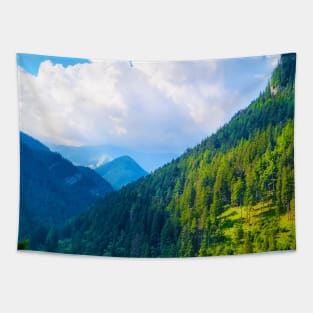 Mountain Gradient Tapestry