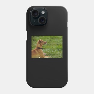 Dog show Phone Case