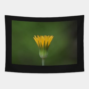 Yellow Wildflower Tapestry