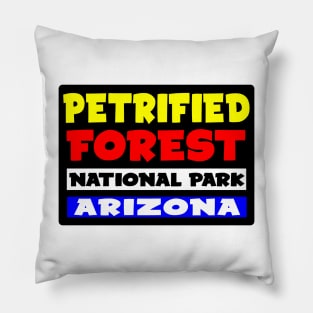 PETRIFIED FOREST NATIONAL PARK ARIZONA Pillow