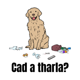 Cad a tharla madra? T-Shirt