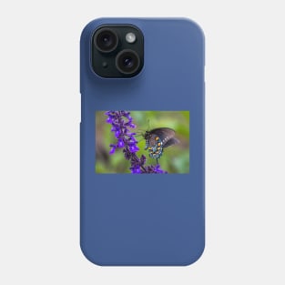 Pipevine Swallowtail Butterfly on Purple Flowers Phone Case