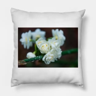 White Mountain Flowers in the Winter Rain Pillow