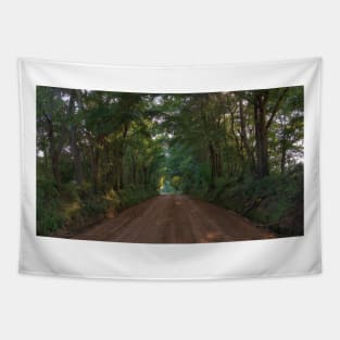 Just an Old Dirt Road Tapestry