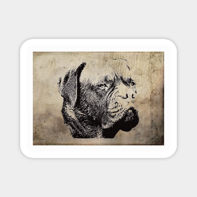 Dogue de Bordeaux Magnet by DoggyStyles