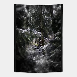 snowy Oregon forest 5 Tapestry