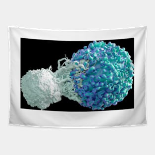 T cell attacking cancer cell (C024/7502) Tapestry