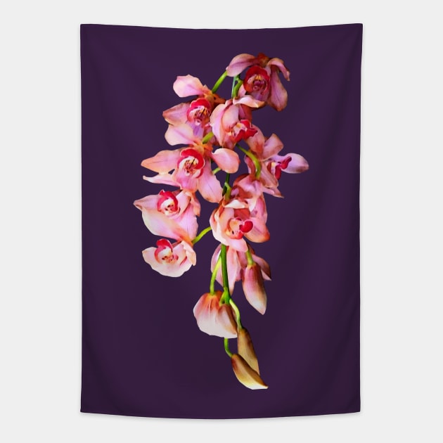 Orchids - Cascade of Pink Orchids Tapestry by SusanSavad