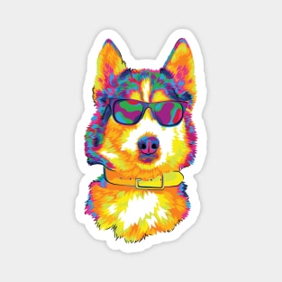 Cool Guy Rainbow Husky Magnet