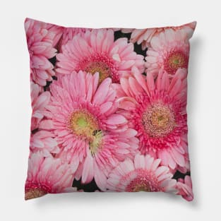 Pink Gerberas Pillow