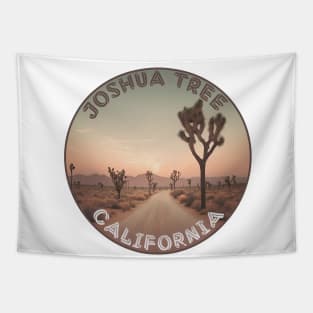 Joshua Tree California | Exploring in the Desert Tapestry