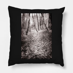 Off the path through the leaves Pillow