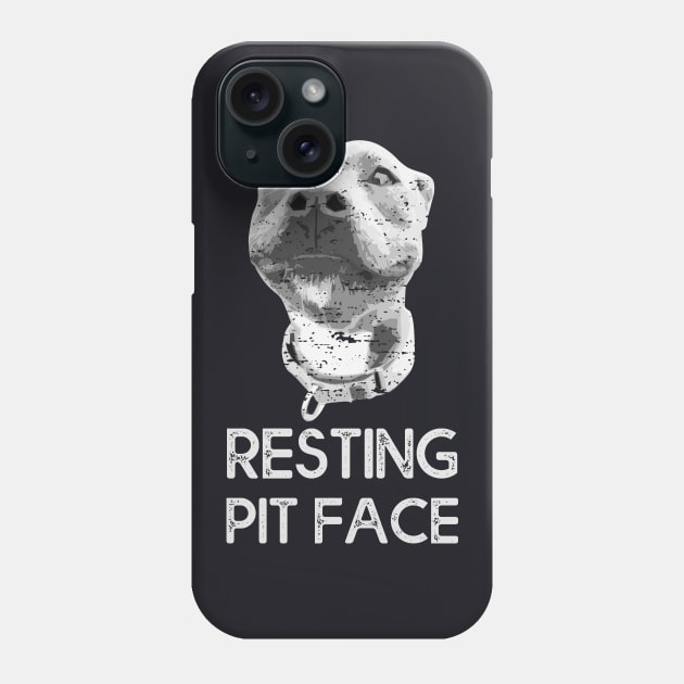 Pitbull Dog Resting Pit Face Vintage Style Phone Case by MasliankaStepan