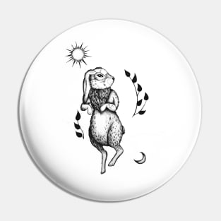 Sun moon and white rabbit Pin