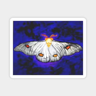 Ghostly Silk Moth Magnet