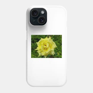 Yellow Rose Wild Phone Case