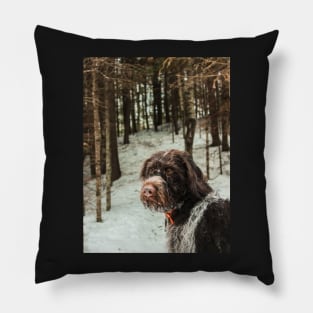 Winter Wirehair Pillow