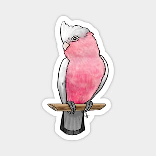 Bird - Rose-Breasted Cockatoo - Crest Up Magnet