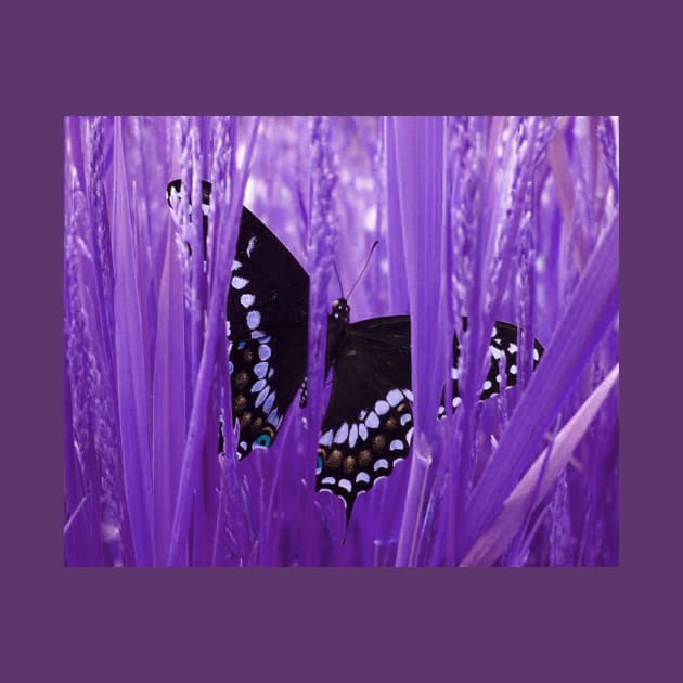 Purple Grass Swallowtail Butterfly by ARTWORKandBEYOND