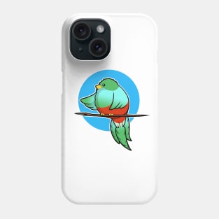 Cute Resplendent Quetzal Phone Case