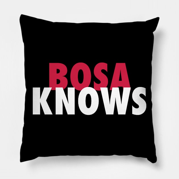 Bosa Knows Pillow by StadiumSquad